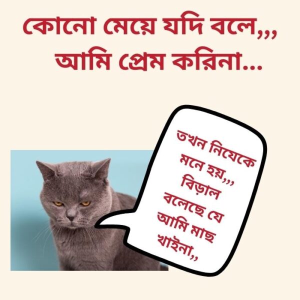 Bangali Funny Memes #8