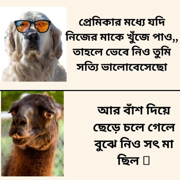 Bangali Funny Memes #7