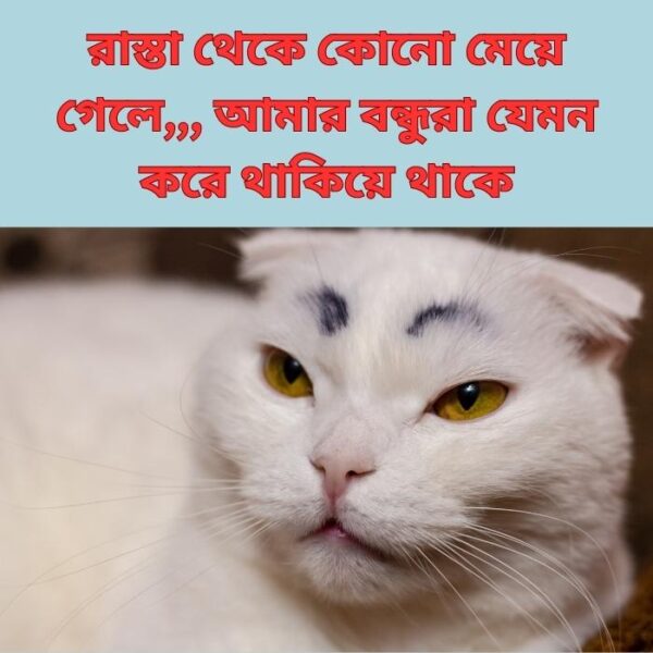 Bangali Funny Memes