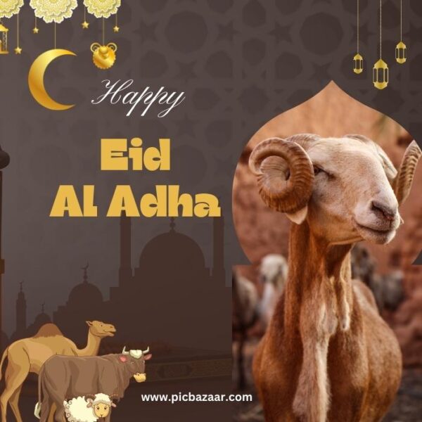 Eid-Al-Adha 2023 ( Bakra Eid )